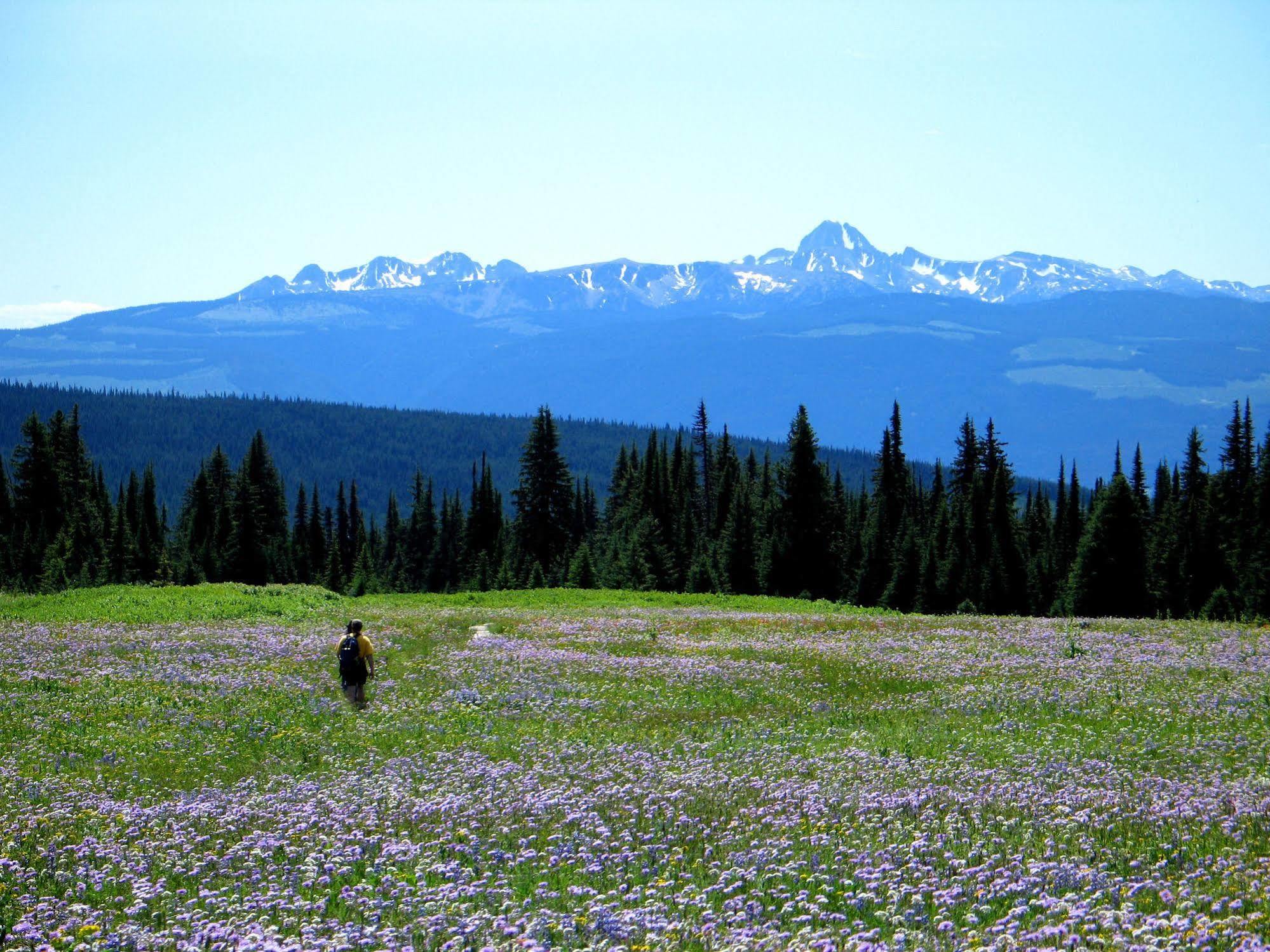 Wells Gray Guest Ranch Hotel Clearwater Bagian luar foto